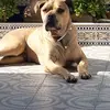 David Morano - @dmorano._ - TikTok