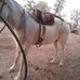 David Morelli - Facebook