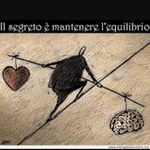 David Morelli - @david_morelli_ - Instagram