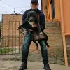 David Moretti - @david.moretti13 - TikTok