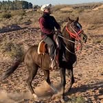 David Moretti - @david.moretti2695 - Instagram