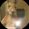 Da Vid Morillo - @da.vid.morillo - TikTok