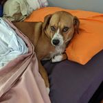 David Moroney - @tendoroney - Instagram