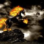 Juan David Morquecho Bucio - @morquechobucio - Instagram