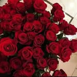 David Morrison - @davidmorrison8014 - Instagram