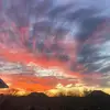David Morrison - @david.morrison675 - TikTok