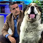 David Morrison - @davidmorrison6077 - Instagram