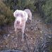 David Morte Elipe - Facebook