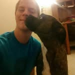 david mortenson - @davidmortenson79 - Instagram