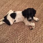 David Mortimer - @dhmortimer - Instagram
