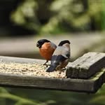 David Mortimer - @david.mortimer.1232 - Instagram