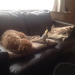 David Mortimer - @davidmortimer1956 - Instagram