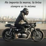 David Morua Zuñiga - @davidmorua1537 - Instagram