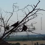 David Moryoussef - @moryossefdavid - Instagram