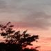 David Mosca - Facebook