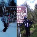 David Moscardi - @davidmoscardi - Instagram