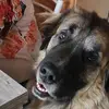 David - @david.mosch - TikTok