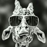 David Mospan - @david.moshpit - Instagram