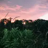 davidmossa112 - @davidmossa112 - TikTok
