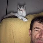 David Mossman - @dazzysdaddizy - Instagram