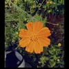 David Mosso - @david.mosso - TikTok