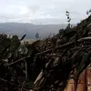 el lokito - @davidmostacero982 - TikTok