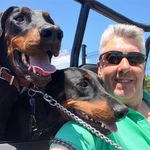 David Mostert - @davidcmostert - Instagram