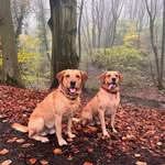 David Motherwell - @david.motherwell.1 - Instagram