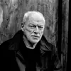 David Gilmour - @davidgilmour - TikTok