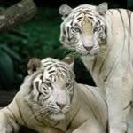 David Mounce - @dmounce1111 - Instagram