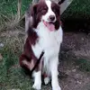 David Mounier - @david.mounier0 - TikTok