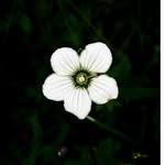 DAVID - @david_mountaineer - Instagram