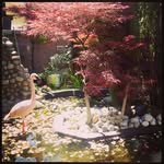 David Mountain - @knoccomnemowoo627 - Instagram
