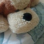 David Mountford - @davfran1955 - Instagram