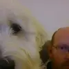 davidmountjoy3 - @davidmountjoy3 - TikTok