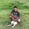 davidmouran - @davidmouran - TikTok