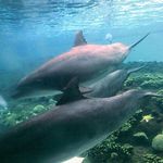 David Mrozek - @dave_0557 - Instagram