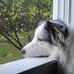 David Mulhern - Facebook