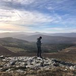 David Mulvey - @david_mulvey96 - Instagram