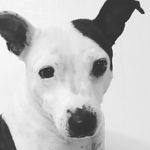 David Mulvey - @dpm2173_ - Instagram
