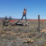 DavidMulvey - @davidmulveybees - Instagram