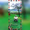 David munka - @usermunkadavid - TikTok