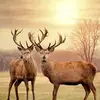 David Munkondya - @davidmunkondya133 - TikTok