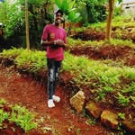 David muriithi - @gatheru029 - Instagram