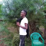 David Muriithi - @muriithidavud - Instagram