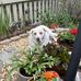 David Murphree - Facebook