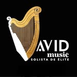 David_Music - @david_music_violinyarpa - Instagram