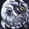 David Nadeau - @david.nadeau5 - TikTok