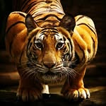 Давид - @david_nagiev - Instagram