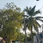 @david_nagipogu__ - Instagram